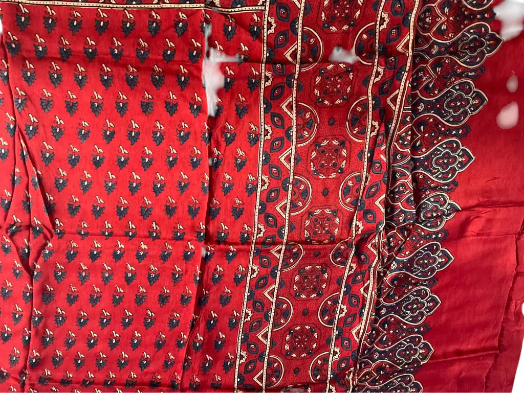 Close-up of indigo buti Ajrakh hand block print and gold zari border on scarlet red dola silk